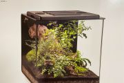biOrb EARTH 125 - Aquarium